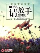 BOSS,请放手！