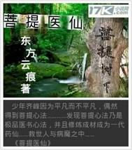 菩提医仙